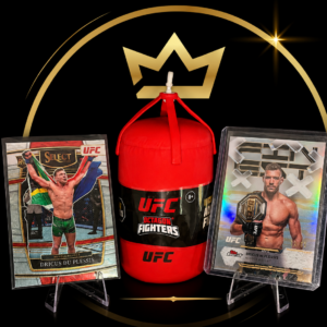 UFC - Dricus du Plessis